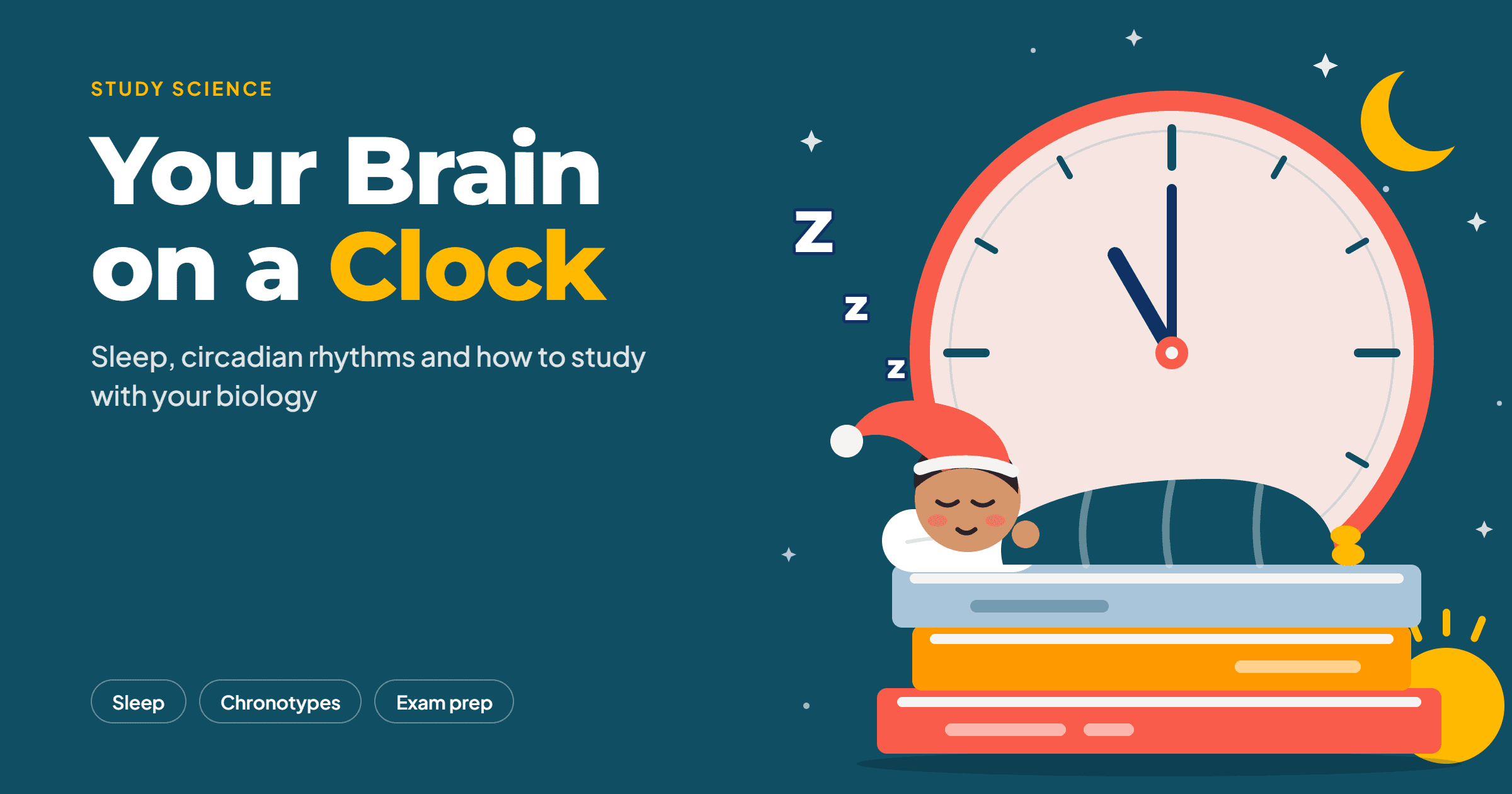 Your Brain on a Clock: Sleep, Circadian Rhythms and How to Study With Your Biology